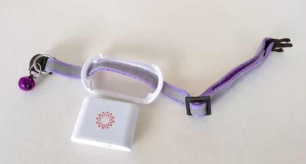 Attaching Maven to collar 1