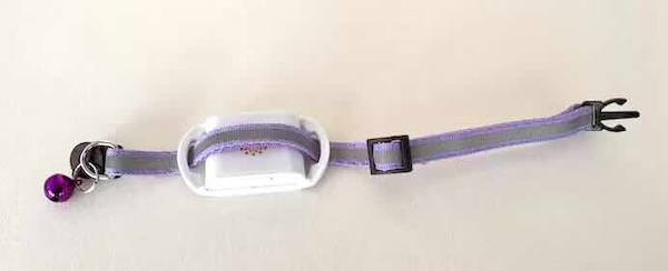 Attaching Maven to collar 2