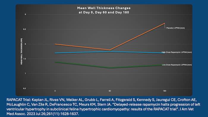 RAPACAT trial results