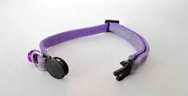 Quick release collar for cats