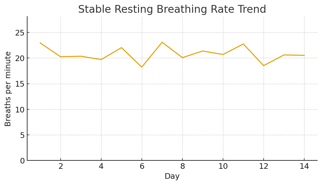 Graph of a stable breathing rate
